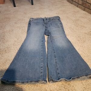 Torrid Flare Jeans